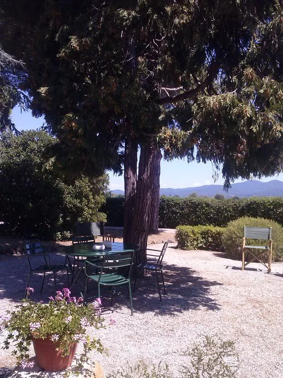 Campo Al Cerro Apartment Bolgheri Bagian luar foto