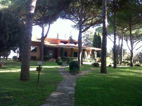 Campo Al Cerro Apartment Bolgheri Bagian luar foto