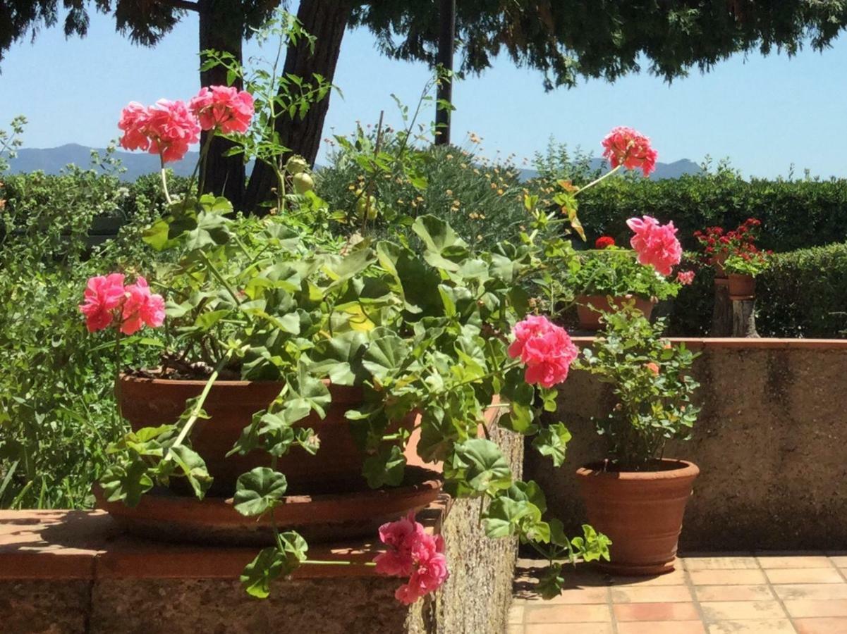 Campo Al Cerro Apartment Bolgheri Bagian luar foto