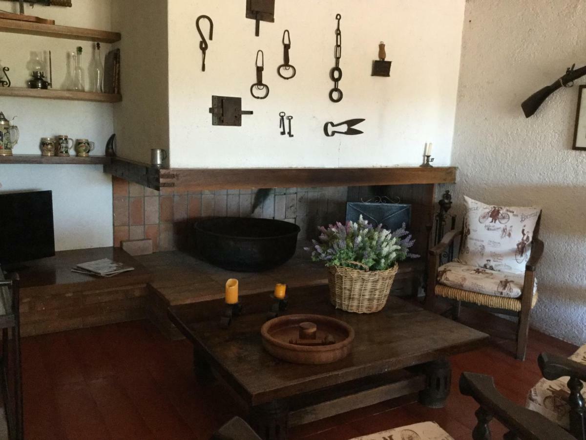 Campo Al Cerro Apartment Bolgheri Bagian luar foto